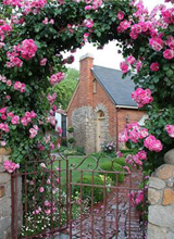 rose gate